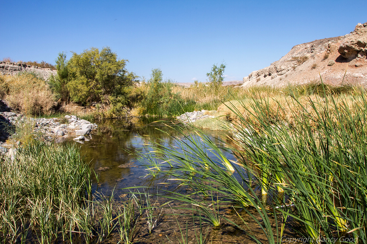 Get To Know Groundwater - Amargosa Conservancy