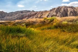 Amargosa Conservancy