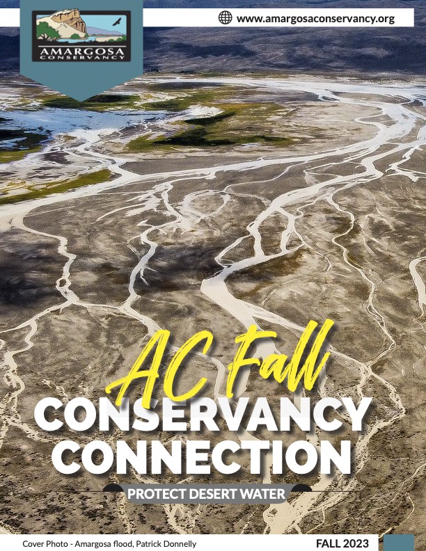 Fall 2023 Conservancy Connection Newsletter