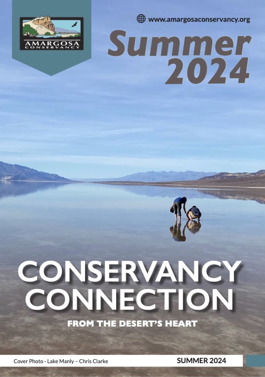 Summer 2024 Conservancy Connection Newsletter