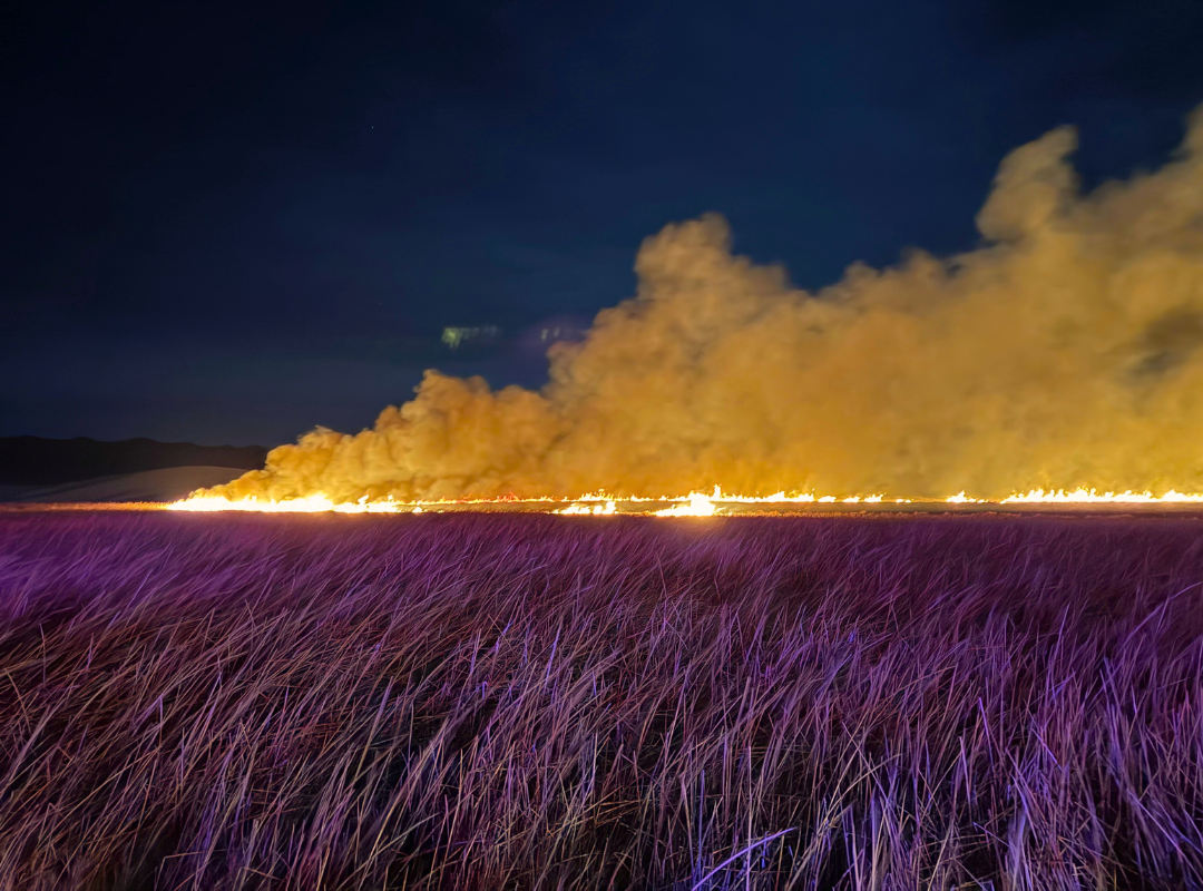 Brush Fire at the Borehole Spring